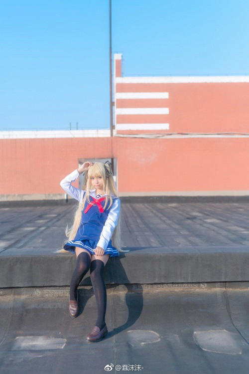 半岛·官方站线登入页面